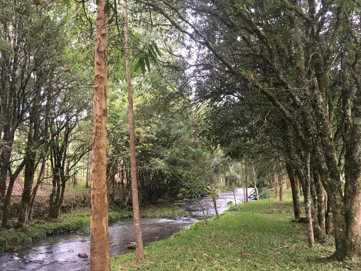 Cabana No Campo Caminho Do Salto Ventoso Farroupilha Kültér fotó